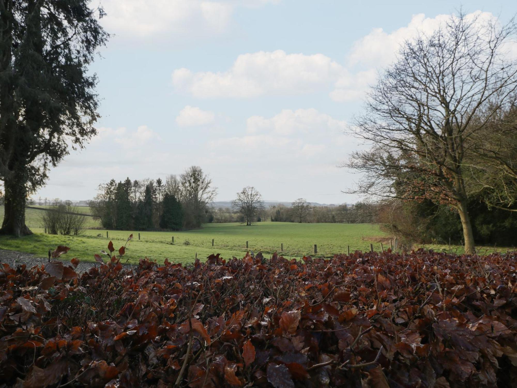 Woodlands Cottage Leominster Esterno foto