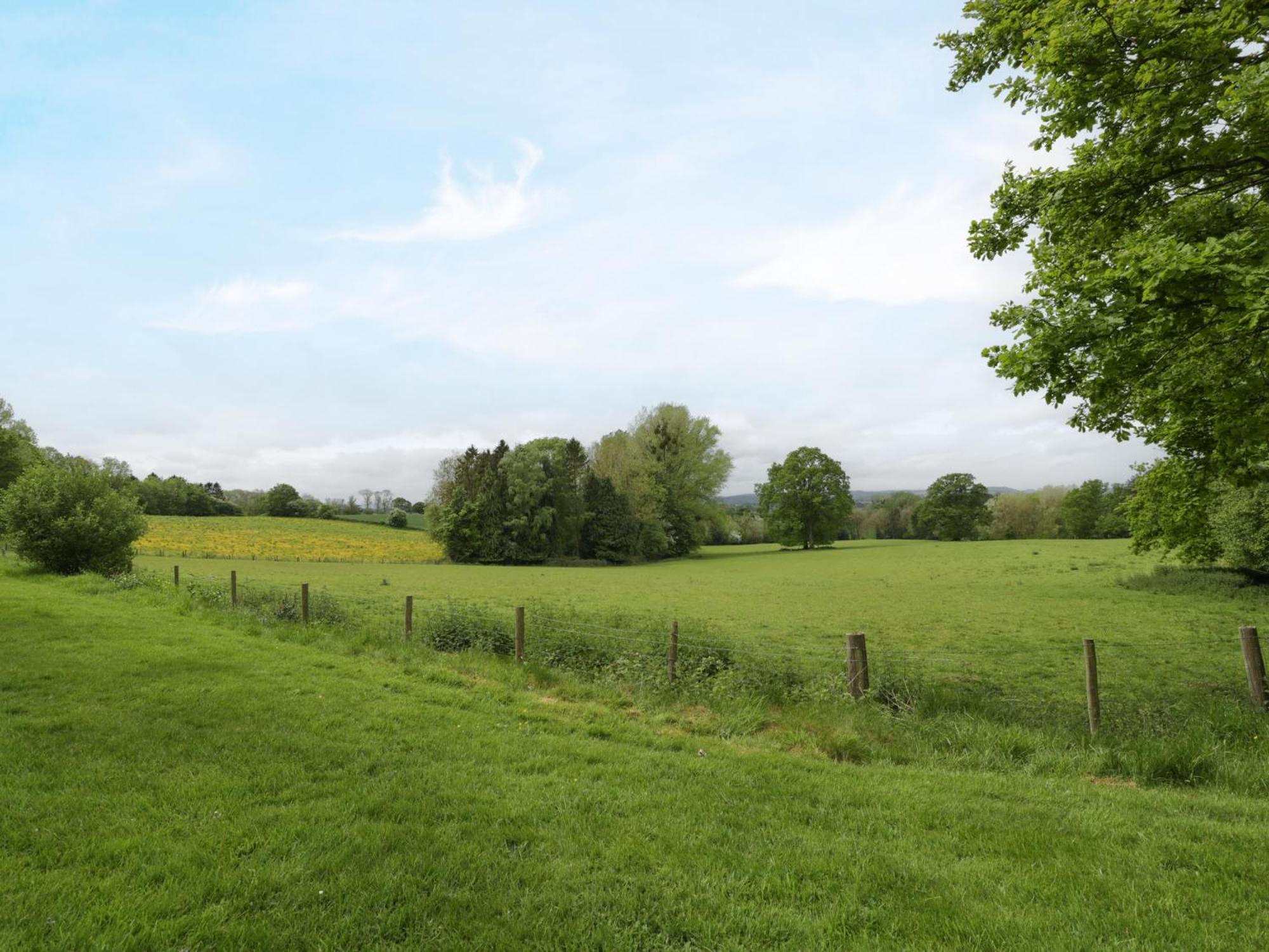 Woodlands Cottage Leominster Esterno foto